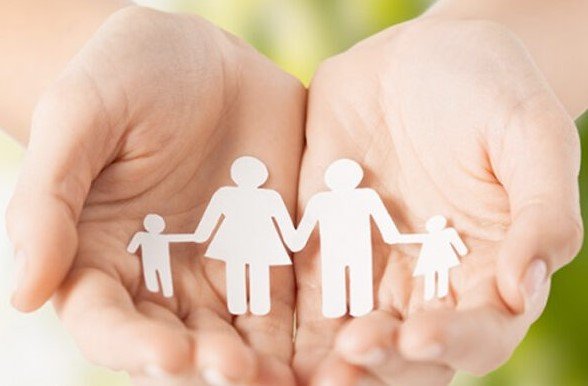 نظام الحضانة الجديد