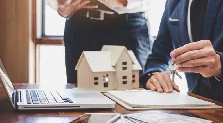 دعوى إثبات ملكية عقار