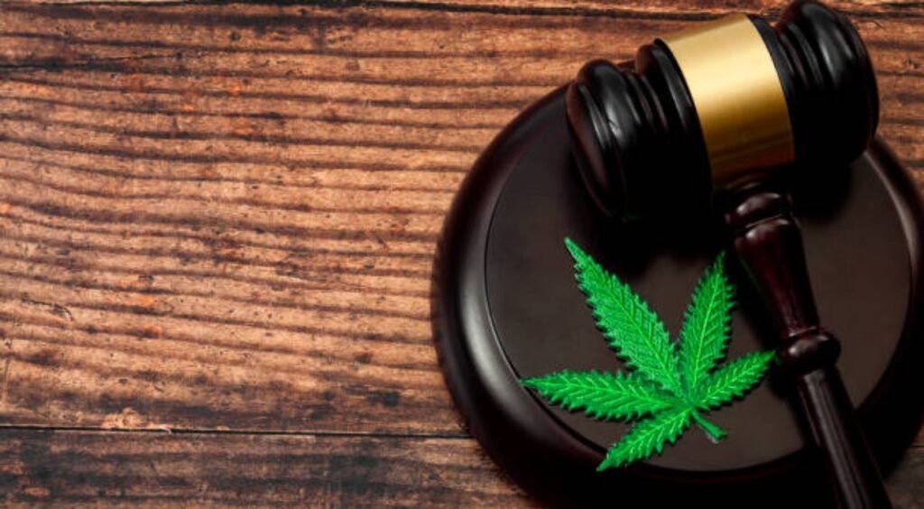 عقوبة تعاطي الحشيش