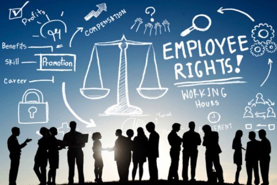 حقوق العامل وصاحب العمل 
