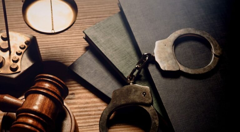 القضايا الجنائية